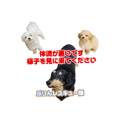 [LINEスタンプ] れもんはオシャレじゃないwithワンズ