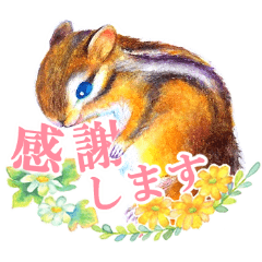 [LINEスタンプ] 水彩絵本な動物スタンプ（丁寧語）