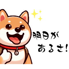 [LINEスタンプ] タマラン！柴犬5