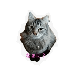 [LINEスタンプ] あむくん①