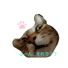 [LINEスタンプ] 麦茶ん。2024