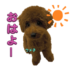 [LINEスタンプ] ウメ子の日常スタンプ
