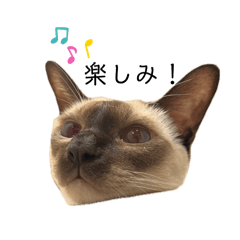 [LINEスタンプ] 荒木とろろ