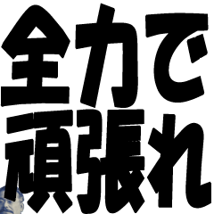 [LINEスタンプ] まじ頑張れスタンプ