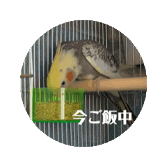 [LINEスタンプ] ぷっちょのすたんぷっちょ1