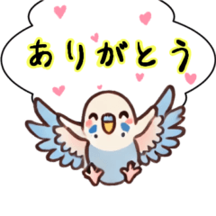 [LINEスタンプ] セキセイインコのひとこと