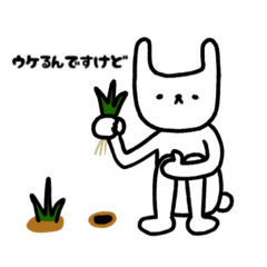 [LINEスタンプ] ゆるくて可愛い白うさぎのスタンプ