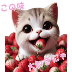 [LINEスタンプ] ねこグルメの日常