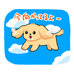 [LINEスタンプ] 犬とともに過ごす日々