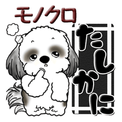 [LINEスタンプ] B＆W シーズーちゃん【モノクロVer.】