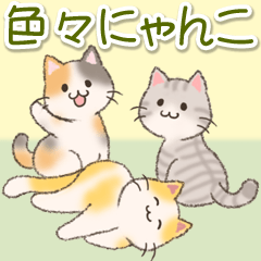 [LINEスタンプ] 色々にゃんこ 毎日使う言葉の画像（メイン）