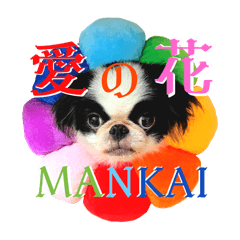 [LINEスタンプ] 愉快！うちのいぬ