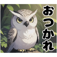 [LINEスタンプ] キュートなフクロウの挨拶