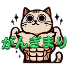 [LINEスタンプ] 筋肉ねこシリーズ①