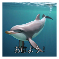 [LINEスタンプ] イルカがいっぱい