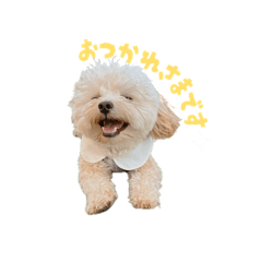 [LINEスタンプ] まるたの日常スタンプ2