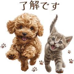 [LINEスタンプ] トイプードルと子猫のスタンプ | 改訂版の画像（メイン）