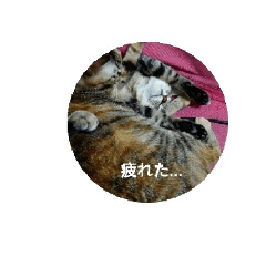 [LINEスタンプ] 神様くん①