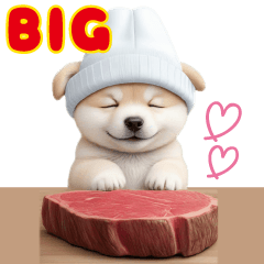 [LINEスタンプ] 可愛い犬 ワンちゃん達のグルメな気遣いBIGの画像（メイン）