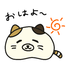 [LINEスタンプ] ねこ しょうちゃん