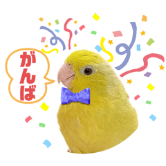 [LINEスタンプ] マメルリハ達20