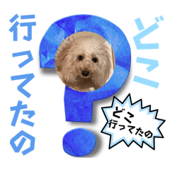 [LINEスタンプ] めるるの19