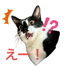 [LINEスタンプ] いごちゃんのごあいさつ2