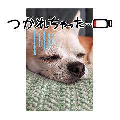[LINEスタンプ] 428(6)
