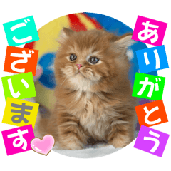 [LINEスタンプ] ねこまーち ラブリーレッド