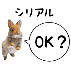 [LINEスタンプ] 朝食何がいいか聞くスタンプの画像（メイン）