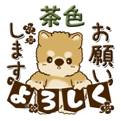 [LINEスタンプ] 柴犬・茶色い犬【茶色系】よく使う言葉