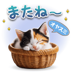 [LINEスタンプ] ねこちぃずNEO★日常スタンプ