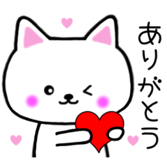 [LINEスタンプ] 白ネコちゃんの感情を伝えるスタンプ♡