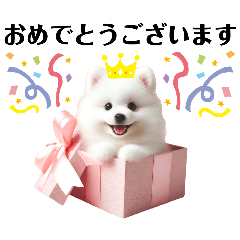 [LINEスタンプ] かわいい日本スピッツの犬スタンプ