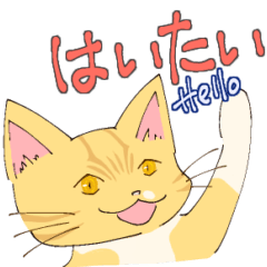 [LINEスタンプ] きなこと一緒(うちなーぐちver.)