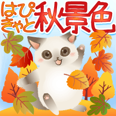 [LINEスタンプ] 紅葉が舞う！毎日使えるはぴきゃとの秋景色の画像（メイン）