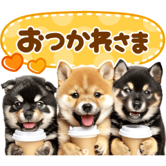 [LINEスタンプ] 飛び出す♡柴犬日和の画像（メイン）