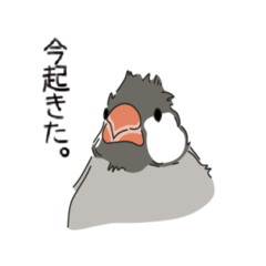 [LINEスタンプ] かわいい文鳥の日常
