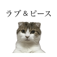 [LINEスタンプ] まる参上