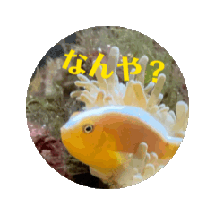 [LINEスタンプ] 子供心を忘れな嗚呼〜いお魚スタンプセット