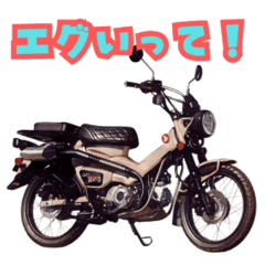 [LINEスタンプ] バイク好きのためのスタンプ＠ハンターカブ