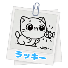 [LINEスタンプ] 毎日を楽しむ猫