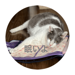 [LINEスタンプ] けろりりの猫ちゃん