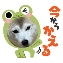 [LINEスタンプ] チョコやで4