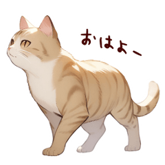 [LINEスタンプ] 茶トラ猫★日常