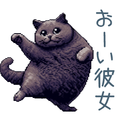 [LINEスタンプ] 連絡用ネコ彼氏【毎日使える・カップル】