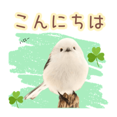 [LINEスタンプ] 日常スタンプ シマエナガ