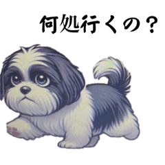 [LINEスタンプ] グレー＆ホワイトシーズーの画像（メイン）