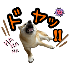 [LINEスタンプ] 柴すずスタンぷぅ2