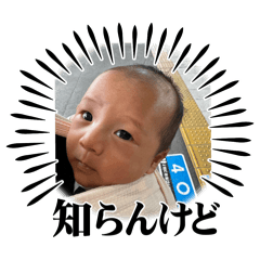 [LINEスタンプ] 大誠すたんぷ ①